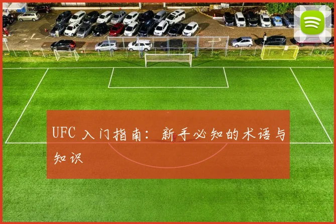 UFC 入门指南：新手必知的术语与知识
