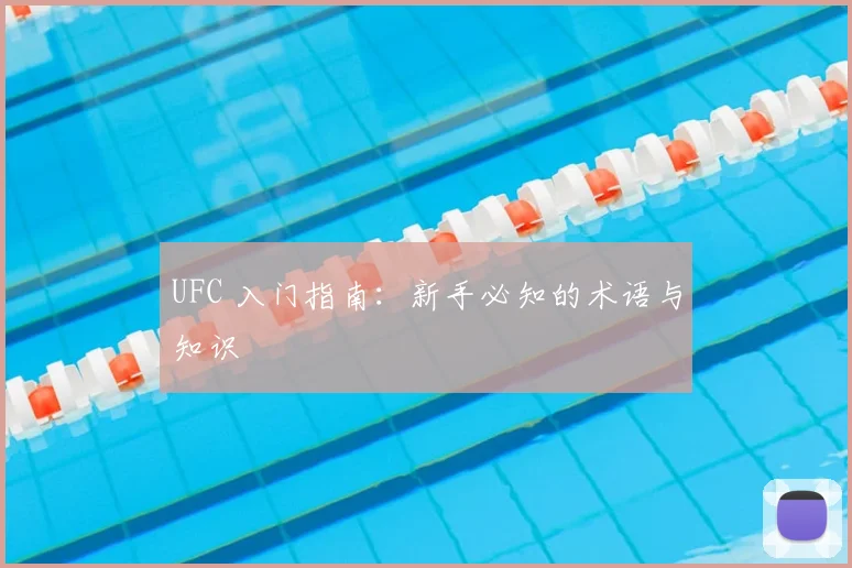 UFC 入门指南:新手必知的术语与知识